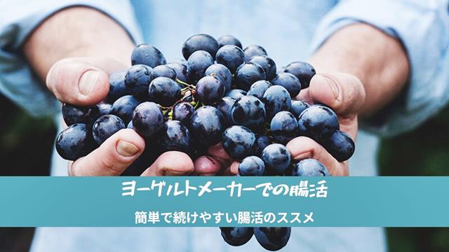 ヨーグルトメーカーを使った効果的な腸活！腸内環境悪化は不健康の元、うつ病リスクも高い。