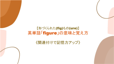 【形作られた(fig)もの(ure)】英単語「figure」の意味と覚え方【語源から覚えよう】