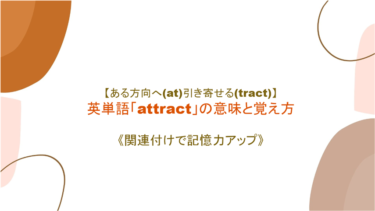 【ある方向へ(at)引き寄せる(tract)】英単語「attract」の意味と覚え方【語源を絡めて記憶力アップ】