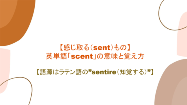 【感じ取る（sent）もの】英単語「scent」の意味と覚え方【語源はラテン語の”sentire（知覚する）”】