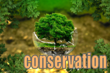 conservation　環境保護の抽象イメージ図