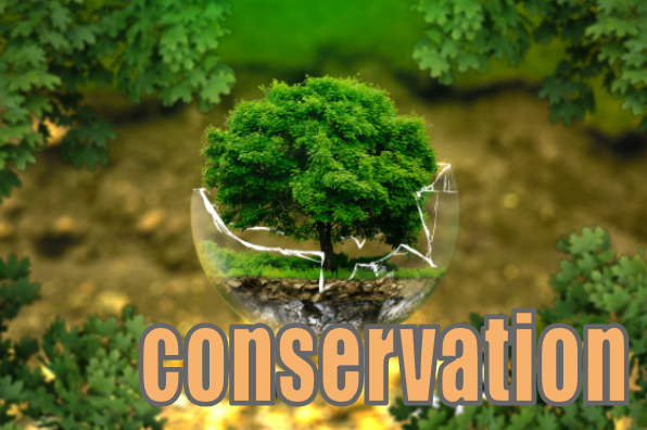 conservation 環境保護の抽象イメージ図