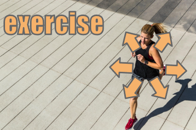 exercise イメージ図