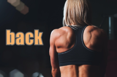 back　広い背中　イメージ図