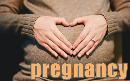 pregnancy 妊娠 イメージ図