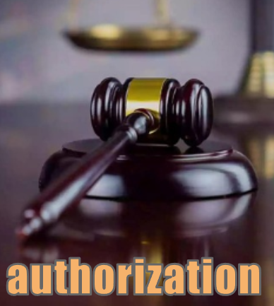 authorization 司法による公的な許可 イメージ図