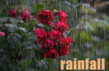 rainfall　イメージ図