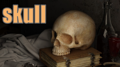 skull イメージ図