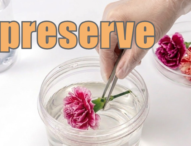 preserve イメージ図