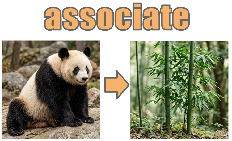 associate イメージ図