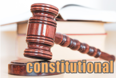 constitutional　イメージ図