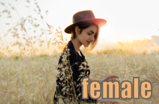 female イメージ図