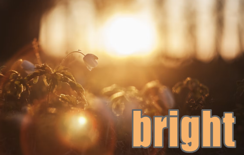 bright イメージ図