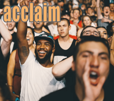 acclaim 歓声を上げる観客