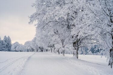What Does 寒い (Samui) Mean in Japanese? “Cold,” Usage, Kanji & Japan’s Winter